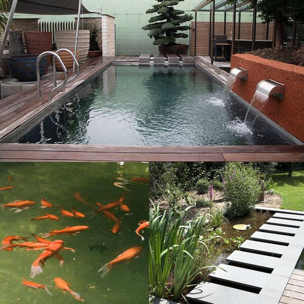 Membrana PVC Piscinas Lagos Armada Renolit Alkorplan Natural Pool 2,05x20m Compatível Plantas/Peixes