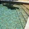 Membrana PVC Piscina 3D Renolit Alkorplan Touch 1,65x21m Relevos Originais 2mm - Authentic (35517 402) - 21 m x 1,65 m x 2,0 mm