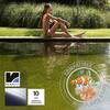 Membrana PVC Piscinas Lagos Armada Renolit Alkorplan Natural Pool 2,05x20m Compatível Plantas/Peixes - Renolit - 9900300204072