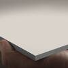 Painel de Fachada EQUITONE [pictura] - 2530 x 1280 x 8 mm - Cor PW841