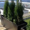 Floreira Betão + Fibras Retangular PRETA Jardim Varanda Terraço Esplanada - 99(L) x 40(P) x 45(A)cm - Palete não incluída