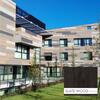 Painel Fenólico Trespa Meteon Wood Matt Standart - Trespa - 9903900700173