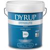 Primário Interior/Exterior Dyrup Dyprolite 15L Branco Mate Anti Alcalino Proteção Fachadas Alvenaria - Dyrup - 9905300100058